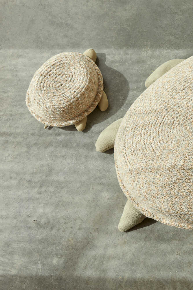 Basket Baby Turtle - Image 3